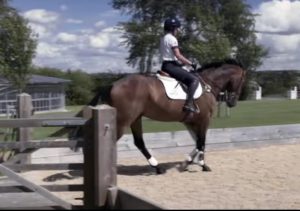 cheval