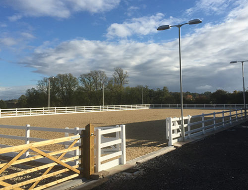 Éclairage de manège et carrière pour chevaux